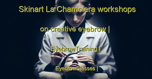Skinart La Chamolera workshops on creative eyebrow | EyebrowTraining | EyebrowClasses | SkinartTraining-Mexico